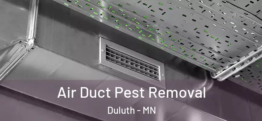 Air Duct Pest Removal Duluth - MN