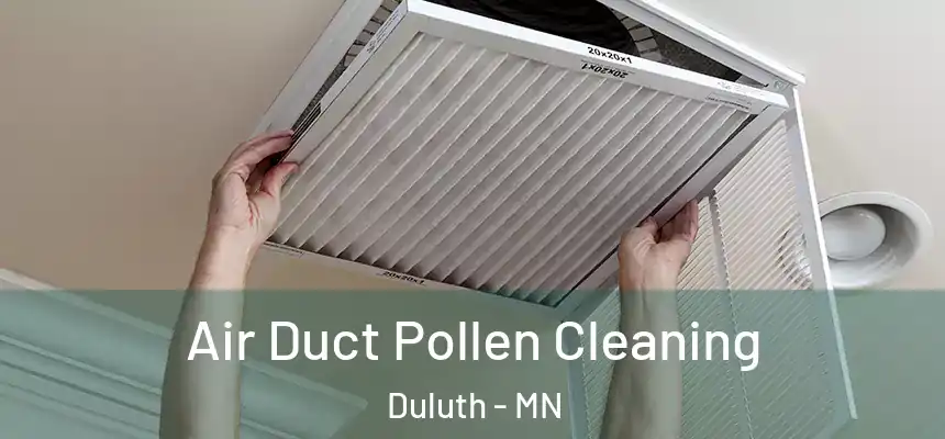 Air Duct Pollen Cleaning Duluth - MN