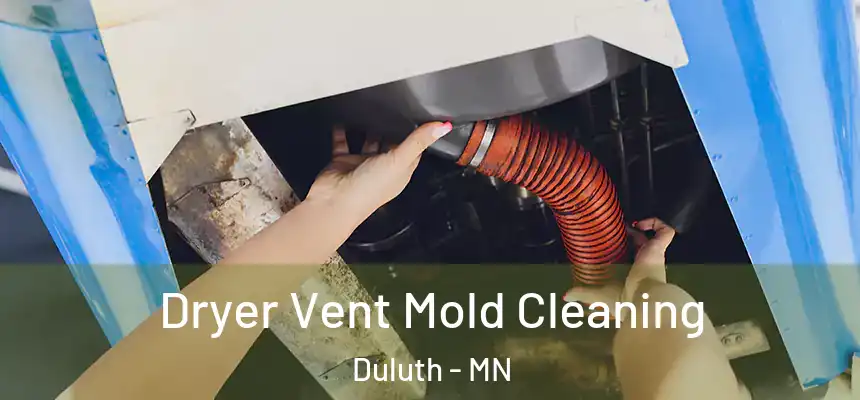 Dryer Vent Mold Cleaning Duluth - MN