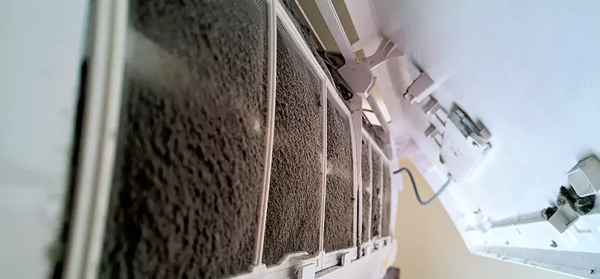 Preventive Air Duct Bacteria Removal in Duluth