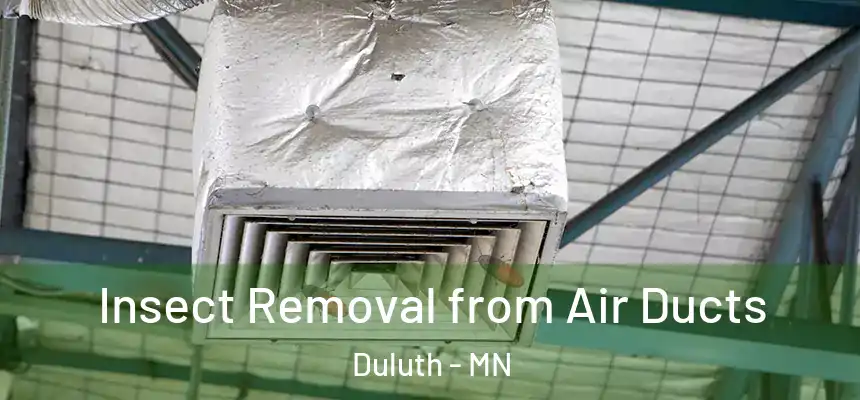 Insect Removal from Air Ducts Duluth - MN