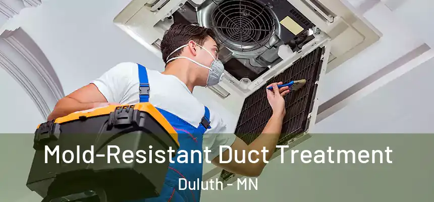 Mold-Resistant Duct Treatment Duluth - MN