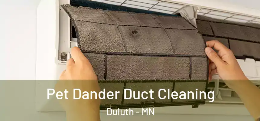 Pet Dander Duct Cleaning Duluth - MN