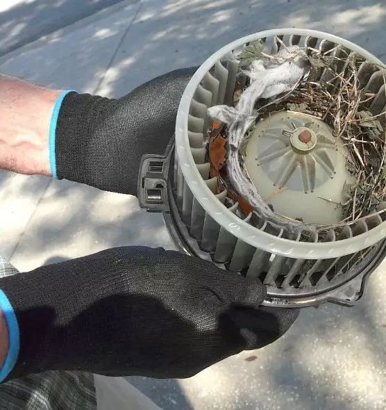 About Air Duct Mice Removal in Duluth, MN