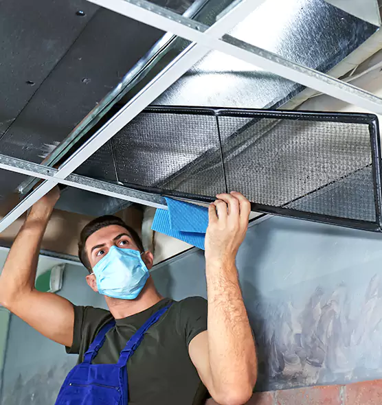 Professional Air Duct Pollen Cleaning in Duluth, MN
